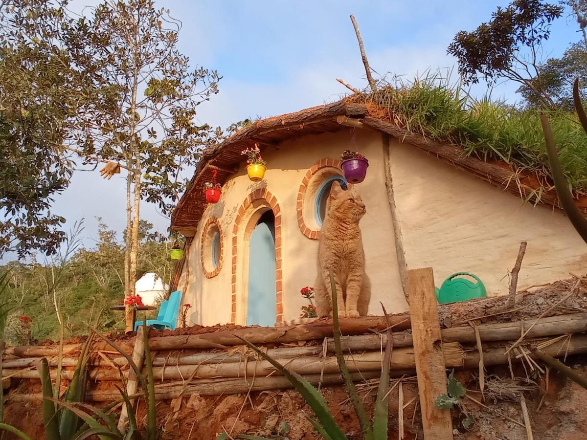 La Pacha Hostel Барічара Екстер'єр фото