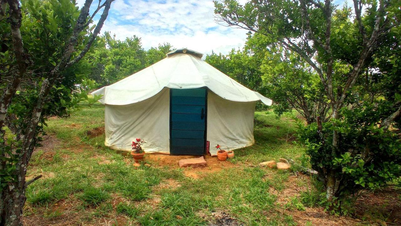 La Pacha Hostel Барічара Екстер'єр фото