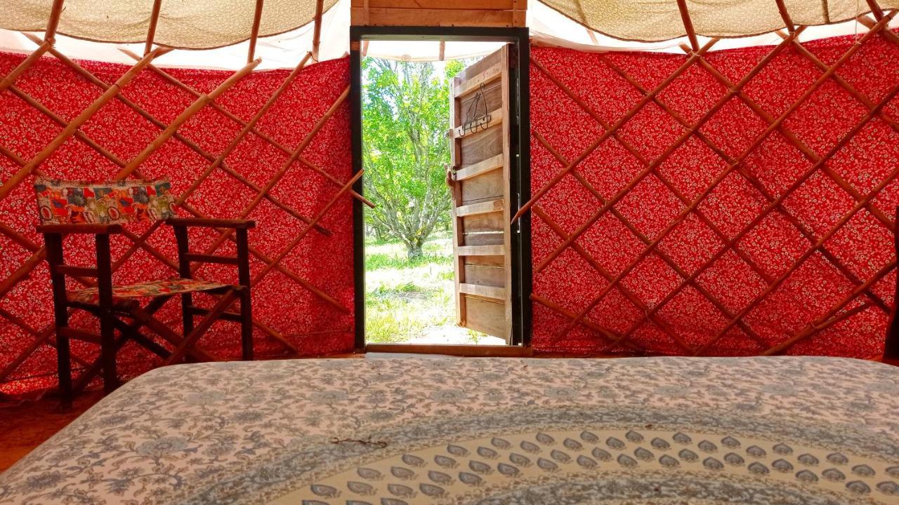 La Pacha Hostel Барічара Екстер'єр фото